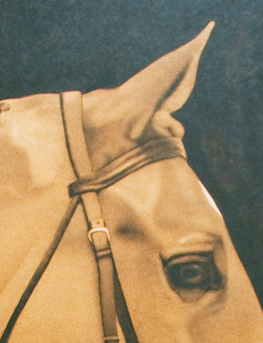 Torch Horse - Contemporary Mixed Media Art by Vincent George