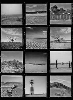 Black and White Photography