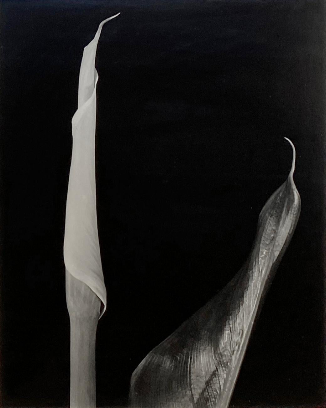 Diptyque Calla - Photoréalisme Photograph par Vincent Vallarino