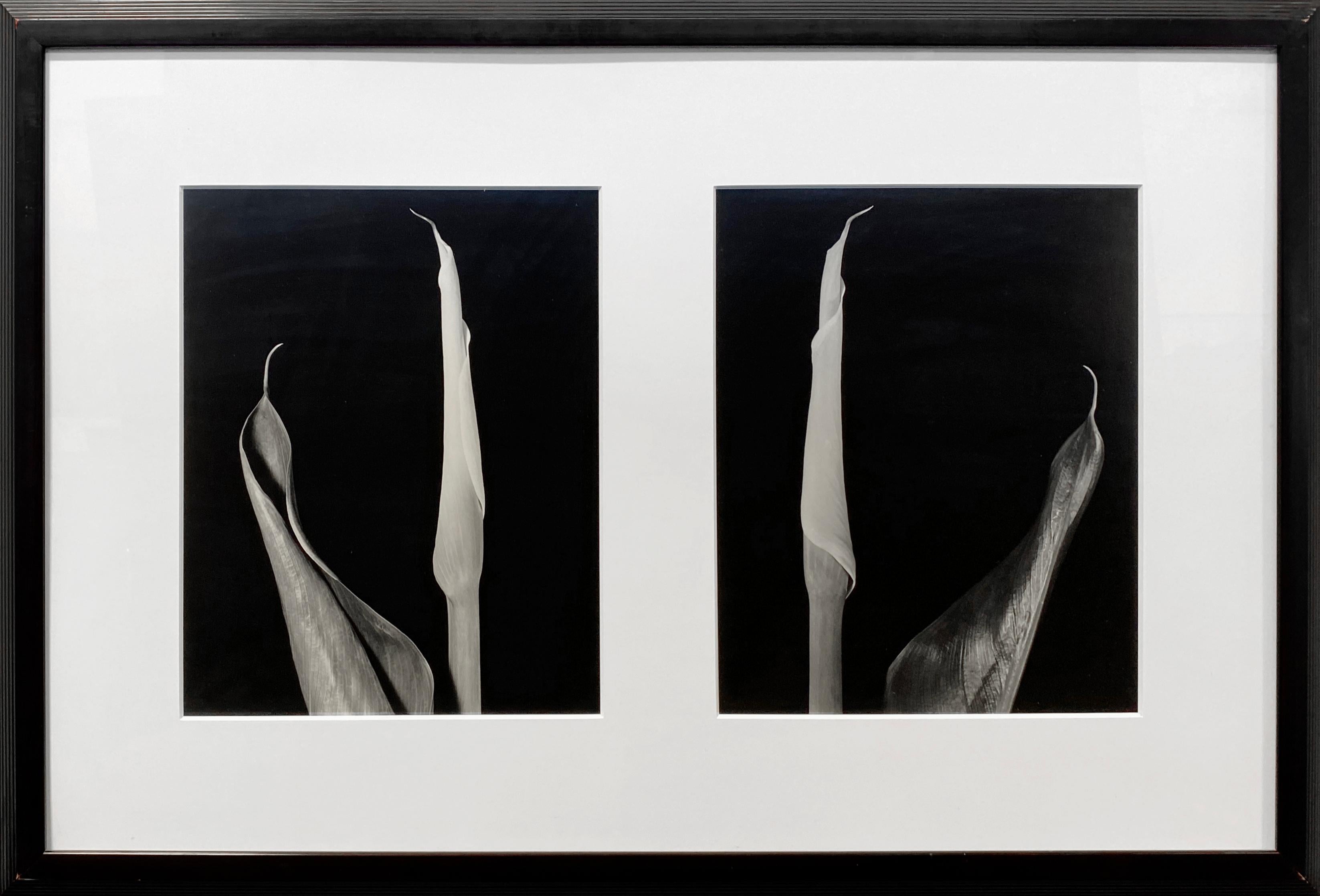 Diptyque Calla
