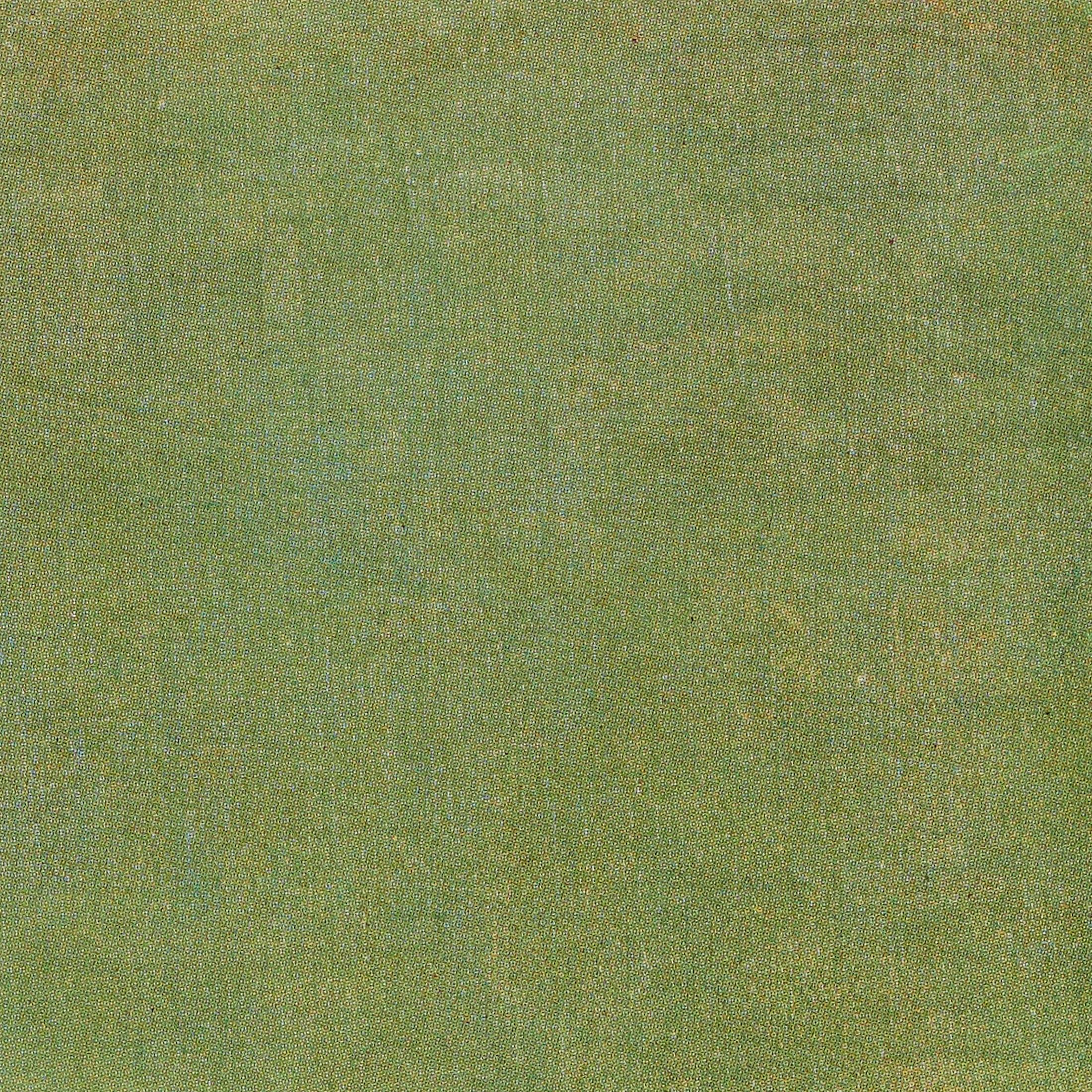 Vincent van Gogh Gerahmtes Farbklischee, Editions du Chêne, 1947 (Französisch) im Angebot