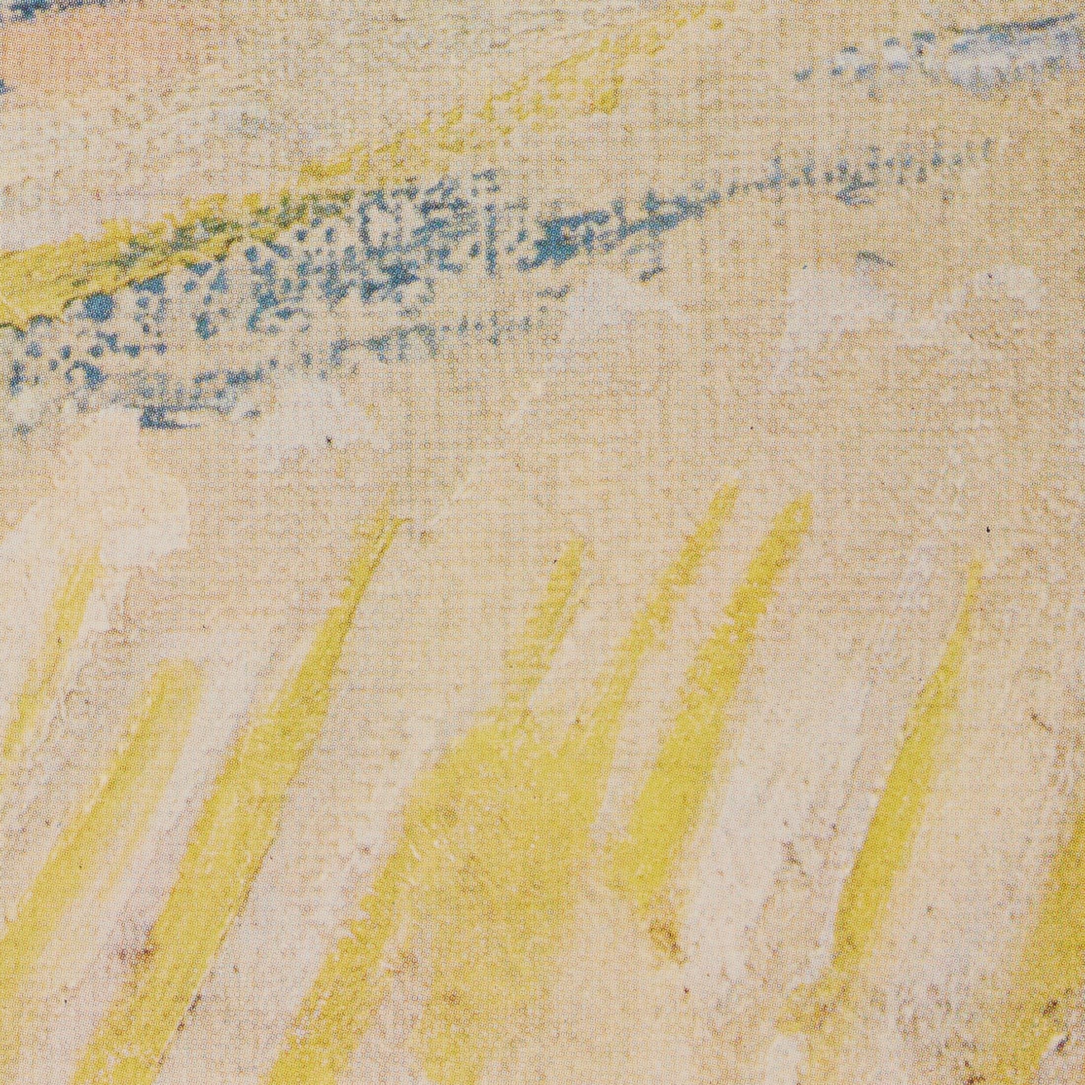 Vincent van Gogh Gerahmtes Farbklischee, Editions du Chêne, 1947 im Zustand „Gut“ im Angebot in Barcelona, Barcelona