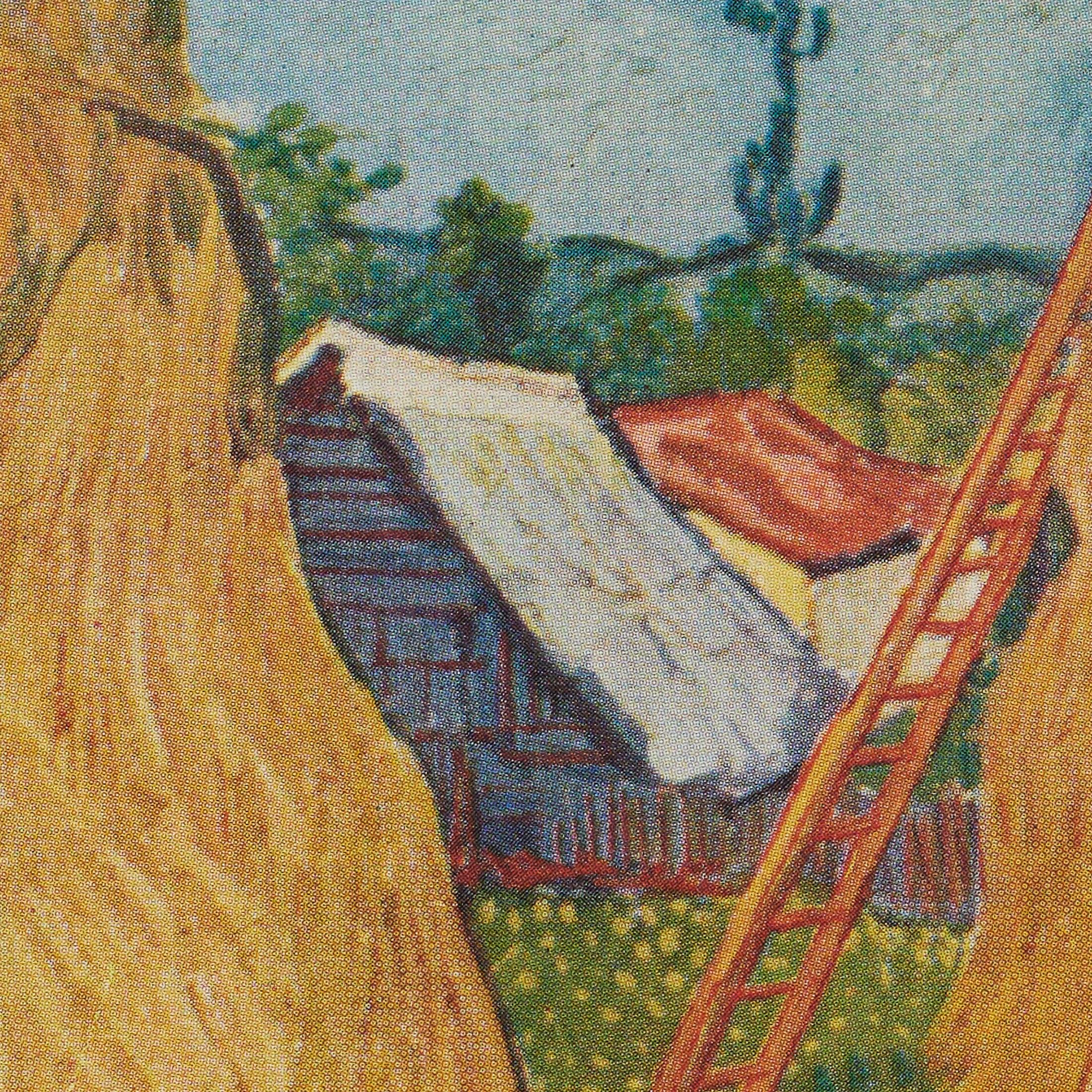 Vincent van Gogh Framed Color Cliché, Editions du Chêne, 1947 In Good Condition For Sale In Barcelona, Barcelona