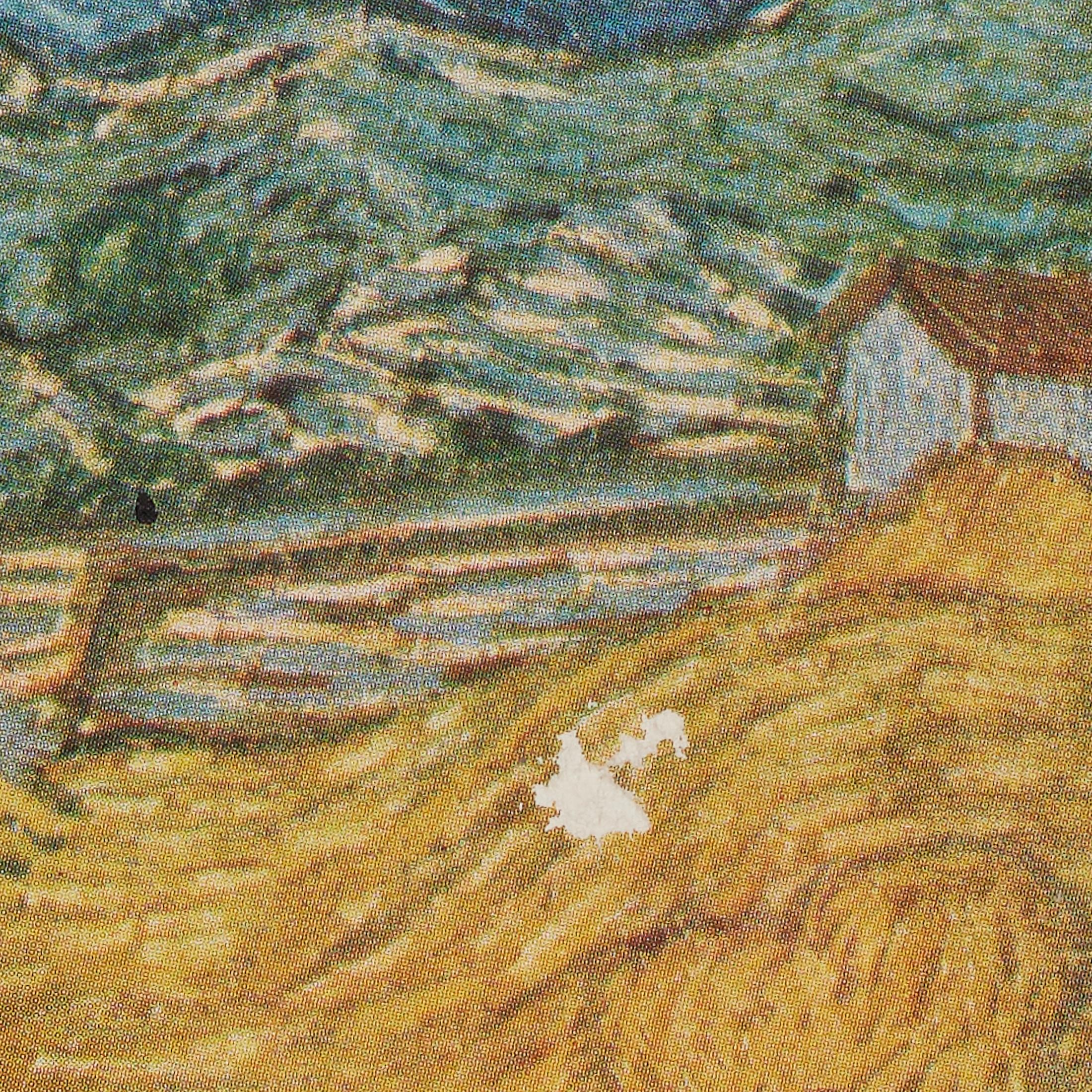 Vincent van Gogh Gerahmtes Farbklischee, Editions du Chêne, 1947 (Mitte des 20. Jahrhunderts) im Angebot