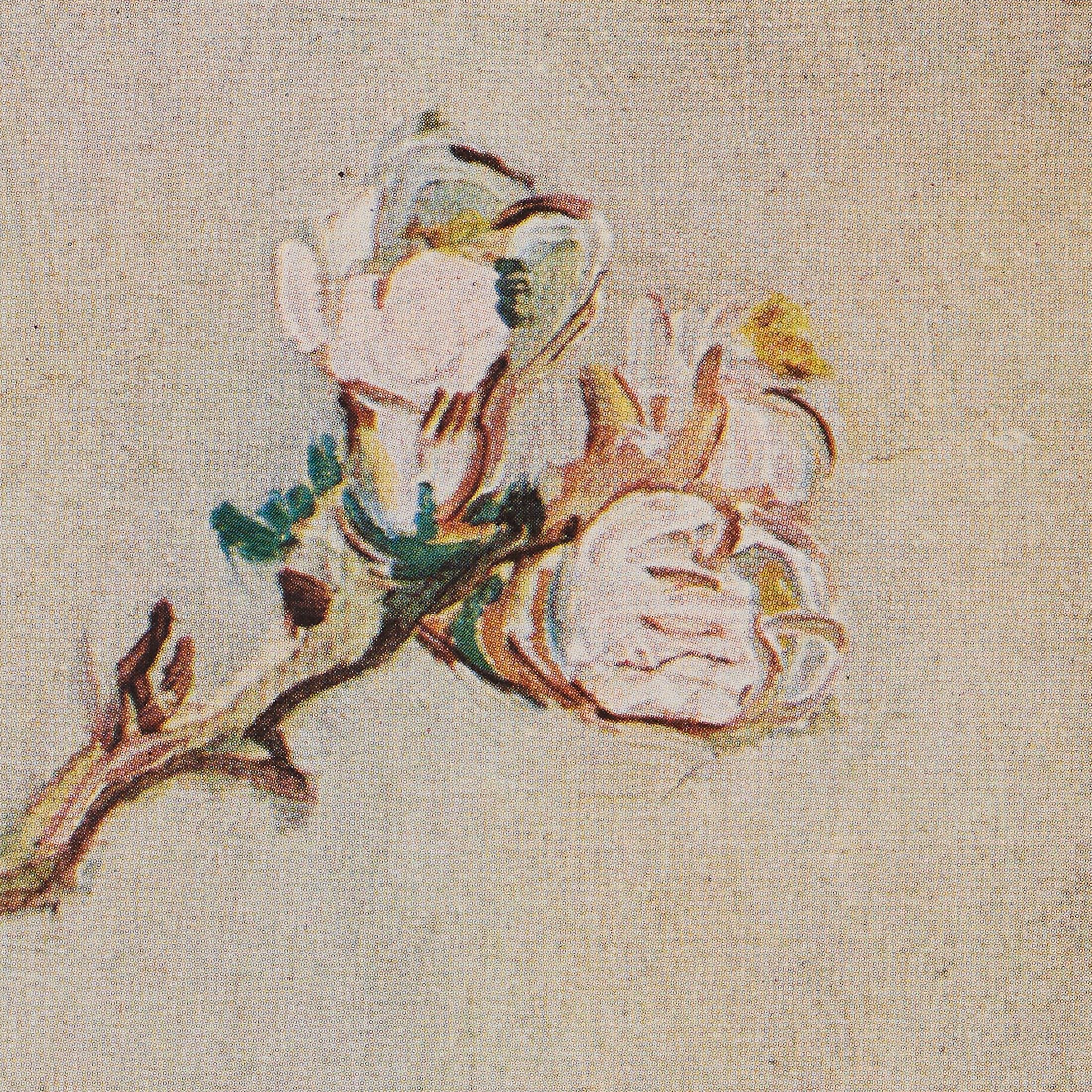 Vincent van Gogh Gerahmtes Farbklischee, Editions du Chêne, 1947 (Papier) im Angebot