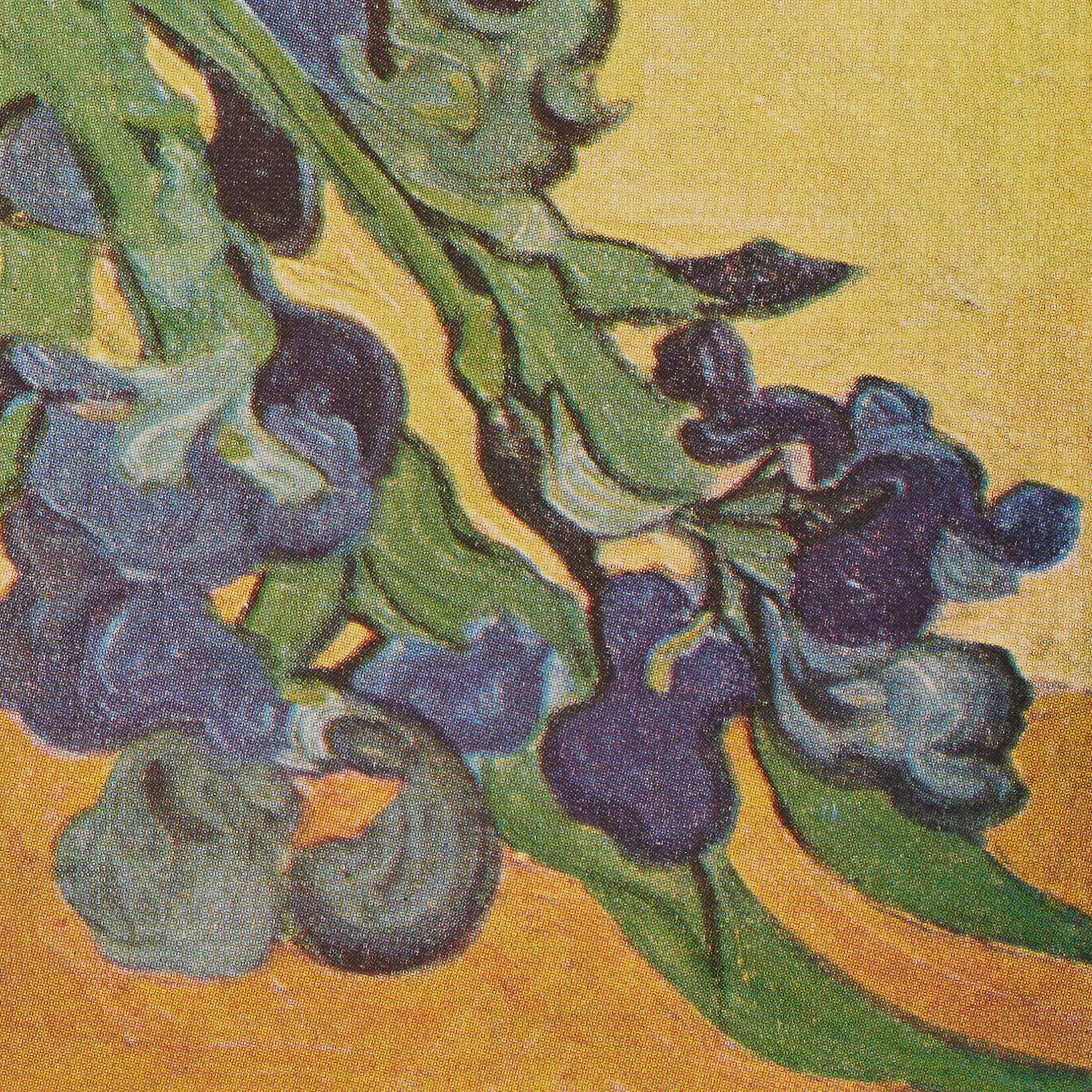 Vincent van Gogh Framed Color Cliché, Editions du Chêne, 1947 For Sale 1