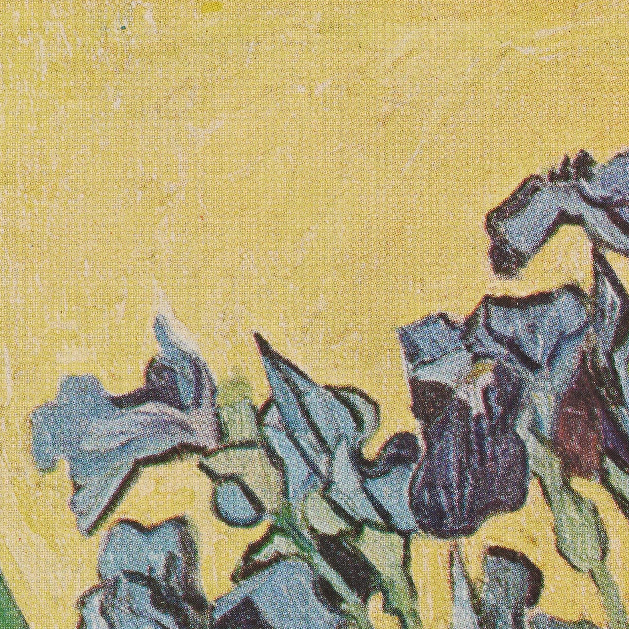 Vincent van Gogh Framed Color Cliché, Editions du Chêne, 1947 For Sale 2