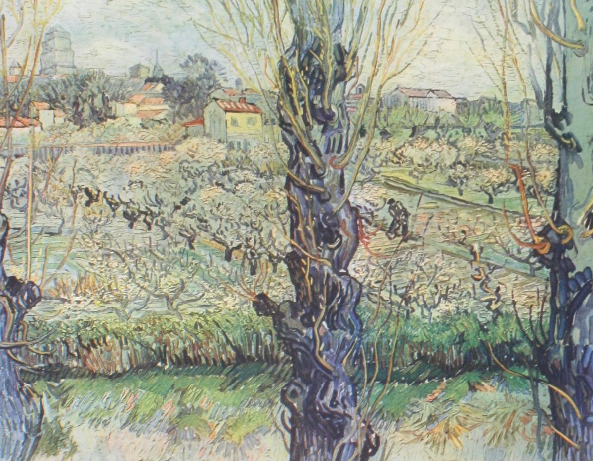 Vincent Van Gogh Paintings and Drawings by L. Goldscheider and W. Uhde 3