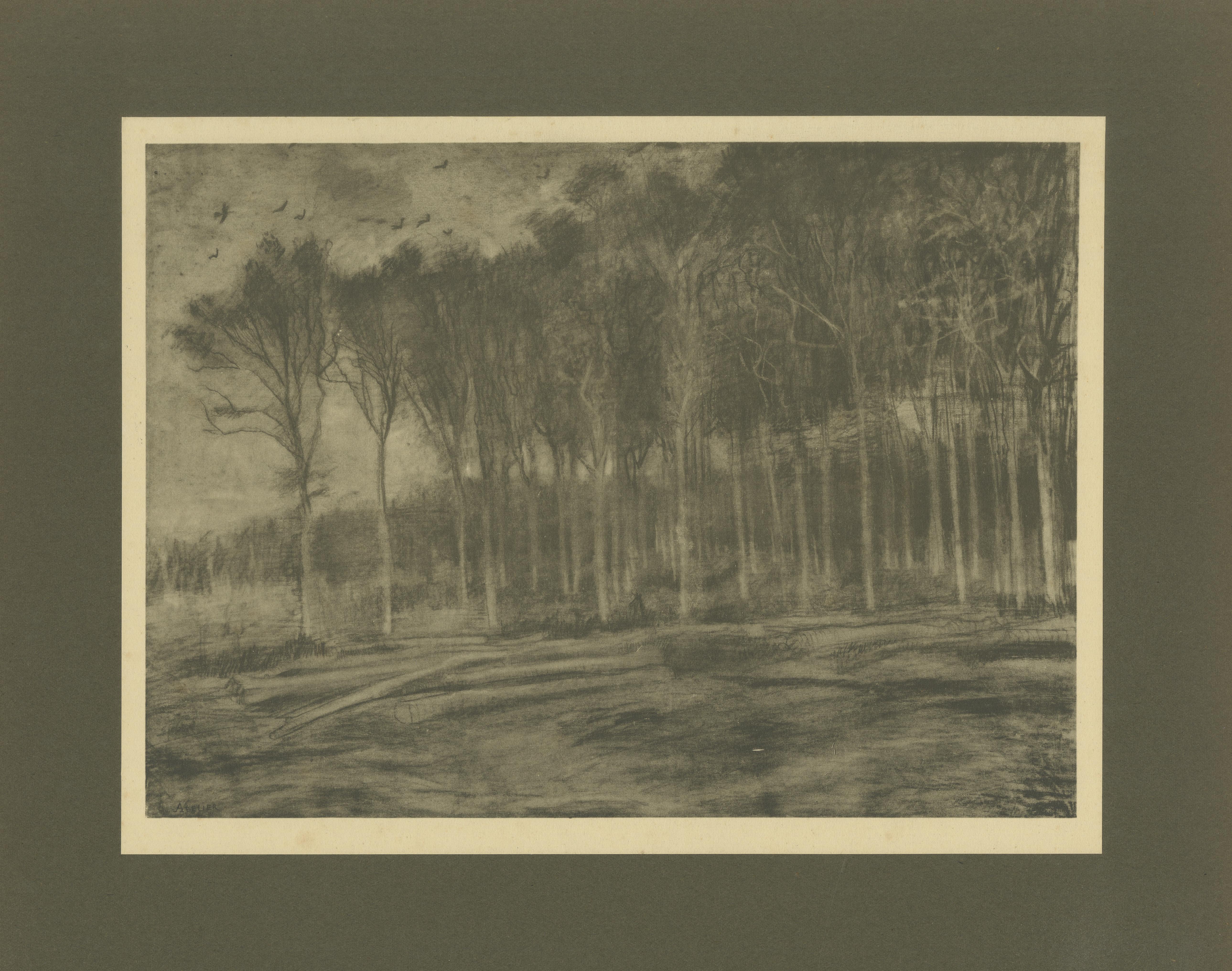 Titel: Vincent van Gogh - Der Waldrand - 1928 Portfoliodruck aus der niederländischen Periode  

Beschreibung:  Dieser Druck von 1928 ist eine Reproduktion von 