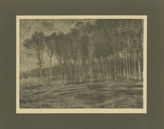 Vincent van Gogh – The Forest Edge – 1928 Portfolio Print from Dutch Period
