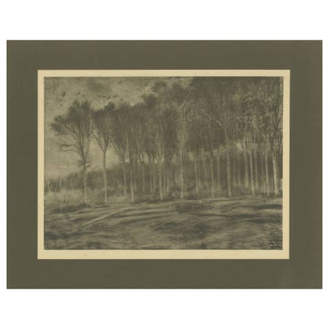 Vincent van Gogh – The Forest Edge – 1928 Portfolio Print from Dutch Period
