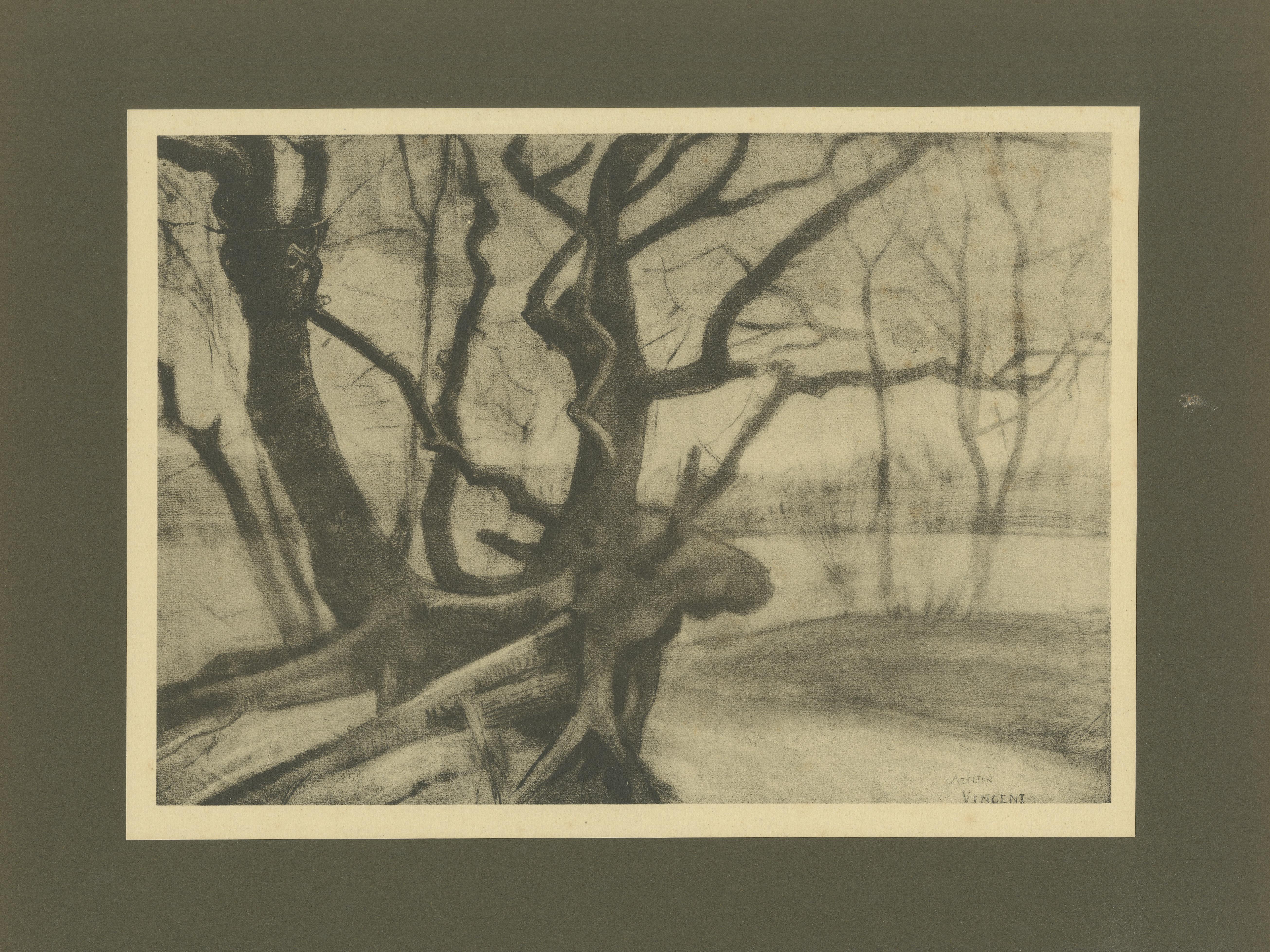 Titel: Vincent van Gogh - Baumwurzeln im Winter - 1928 Portfoliodruck  

Beschreibung:  
Dieser Druck aus dem Jahr 1928 ist eine Reproduktion von 