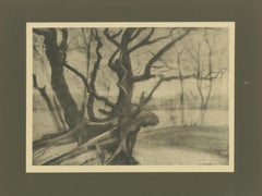 Vincent van Gogh – Tree Roots in Winter – 1928 Portfolio Print