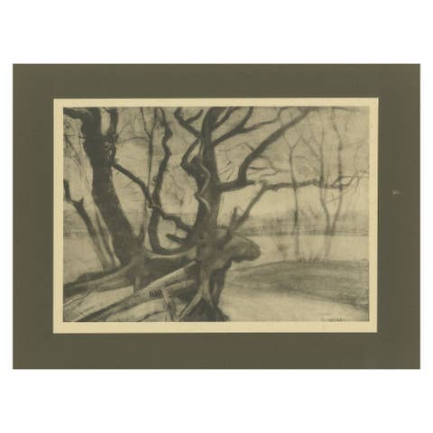 Vincent van Gogh – Tree Roots in Winter – 1928 Portfolio Print