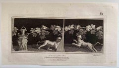 Antikes römisches Fresco mit Tieren - Radierung von Vincenzo Aloja - 18. Jahrhundert