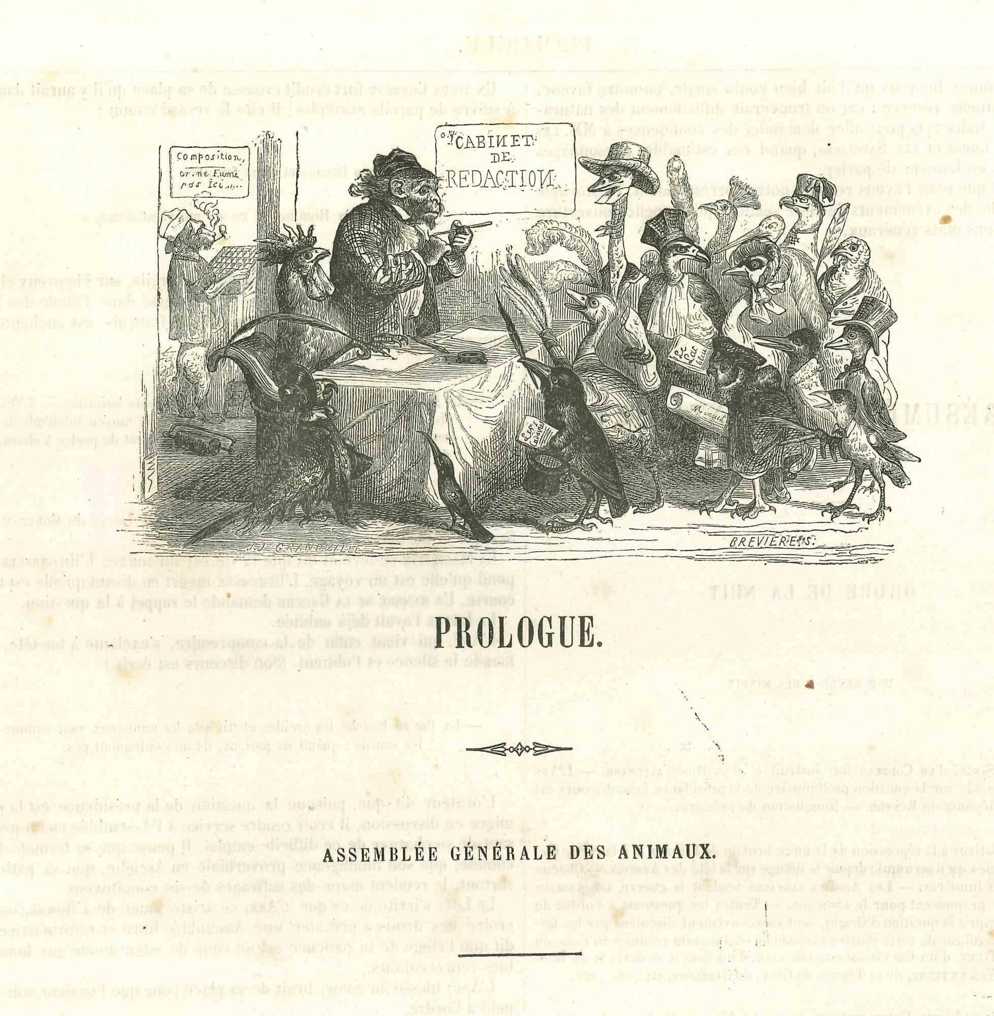 Assemblée Générale des Animauxis an original lithographs by J.J. Grandville from "Scènes de la vie privée et publique des animaux, 1852. Published by Manesq & Harvard, Paris. 

Good Conditions but aged with foxings.

The artwork is depicted through