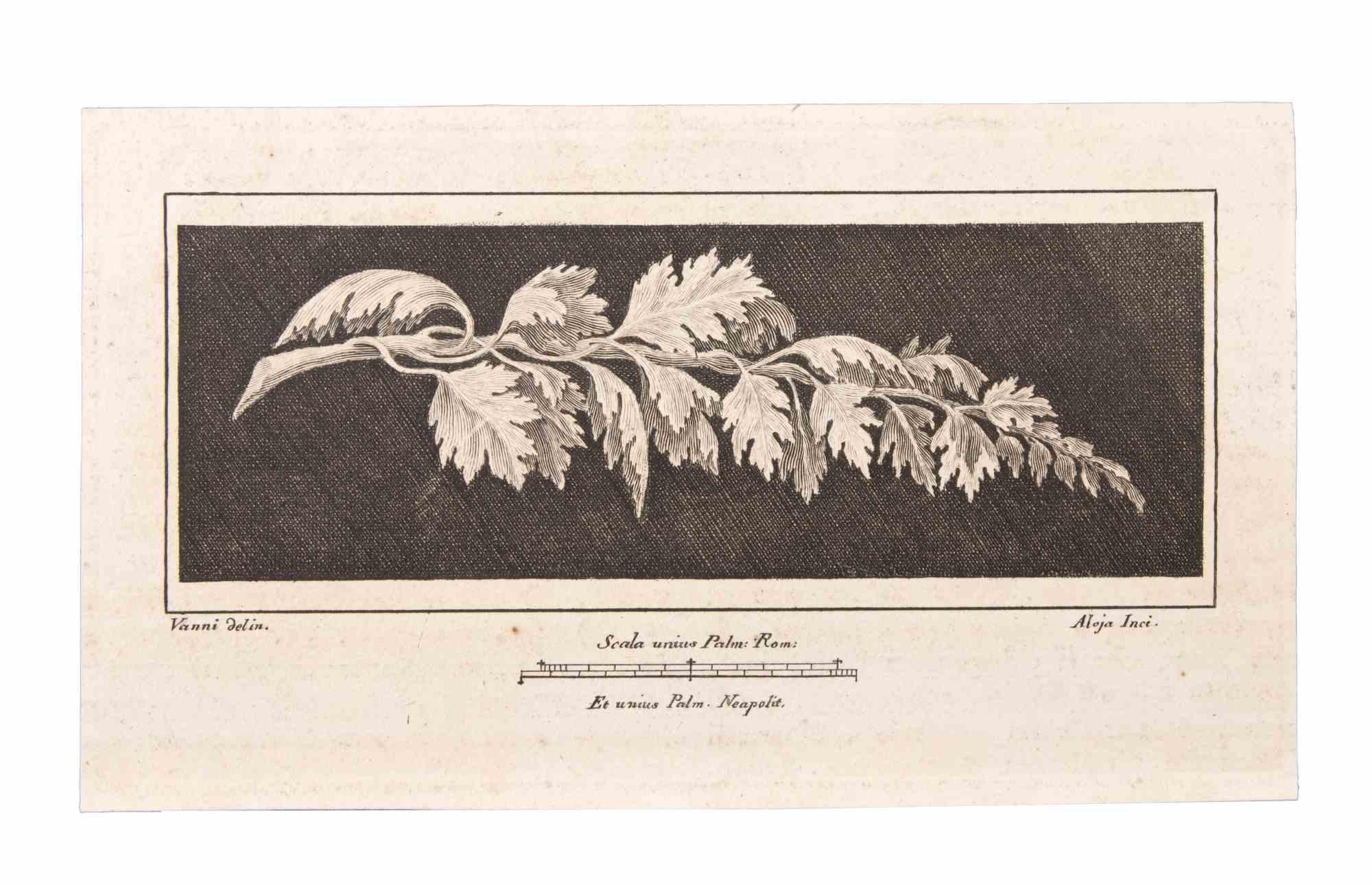 Ranch avec feuilles est une gravure réalisée par Vincenzo Aloja (1768-1817).

La gravure appartient à la suite d'estampes "Antiquités d'Herculanum exposées" (titre original : "Le Antichità di Ercolano Esposte"), un volume de huit gravures des
