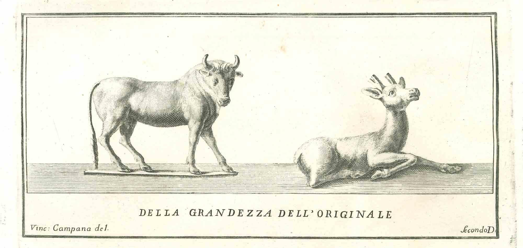 Ancient Roman Statue, from the series "Antiquities of Herculaneum", is an original etching on paper realized by Vincenzo Campana in the 18th century.

Signed on the plate on the lower right

Good conditions.

The etching belongs to the print suite