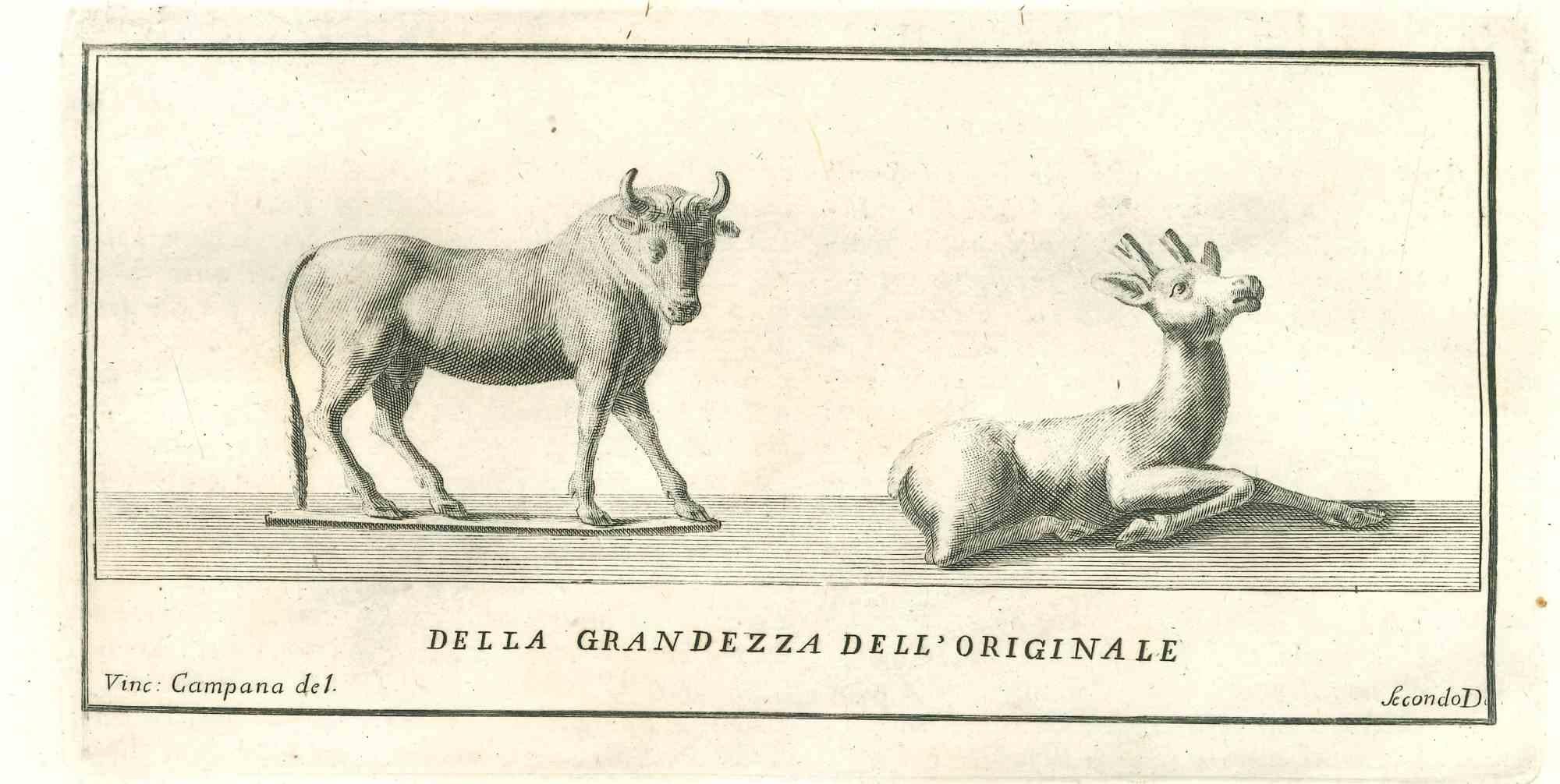 Ancient Roman Statues of  Animals - Etching by Vincenzo Campana - 18th Century