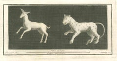 Animals Pompeian Fresco - Etching by Vincenzo Campana - 18th Century