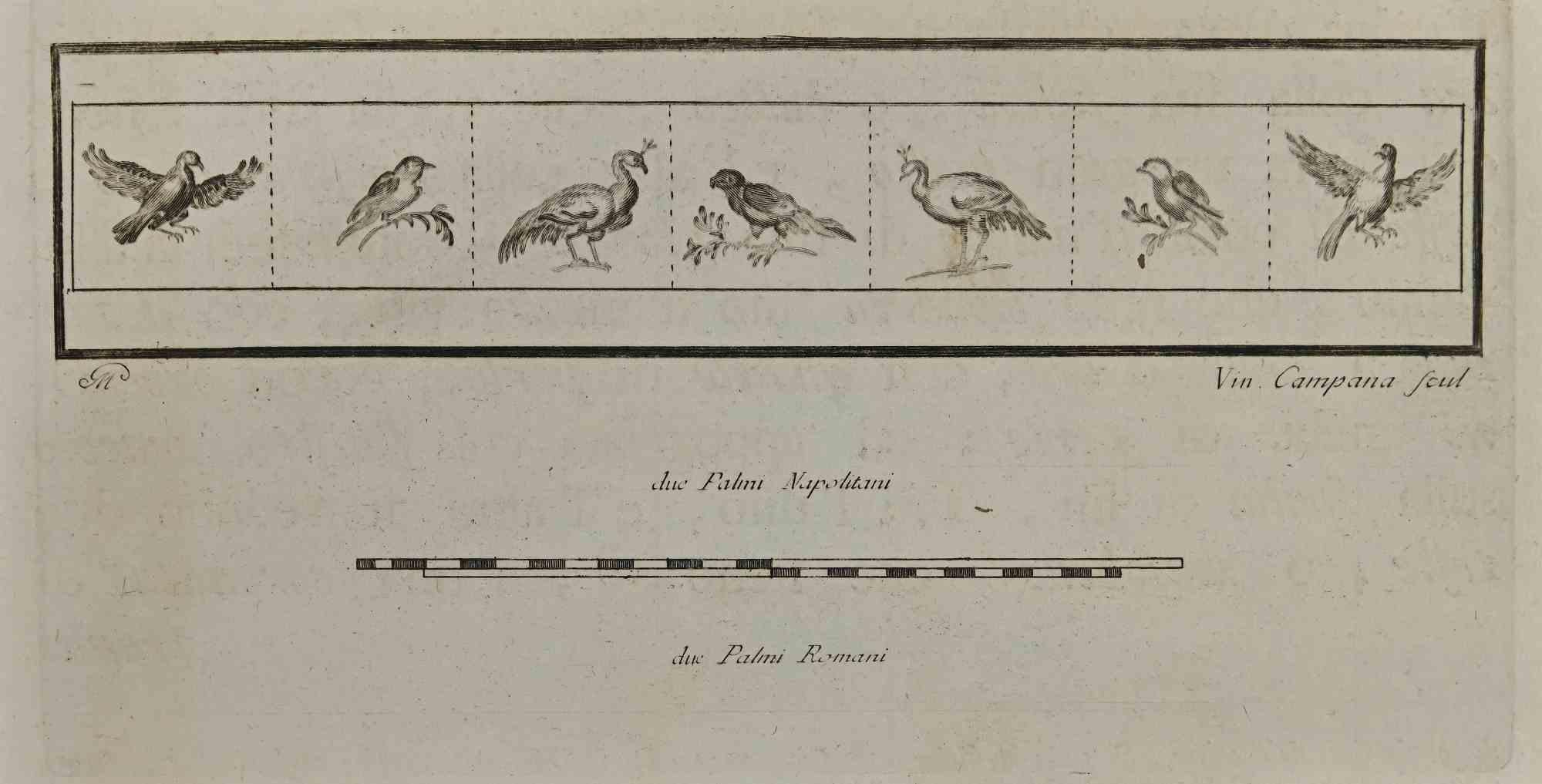 Figurative Print Vincenzo Campana - Oiseaux d'Herculanum - eau-forte de V. Campana - 18ème siècle