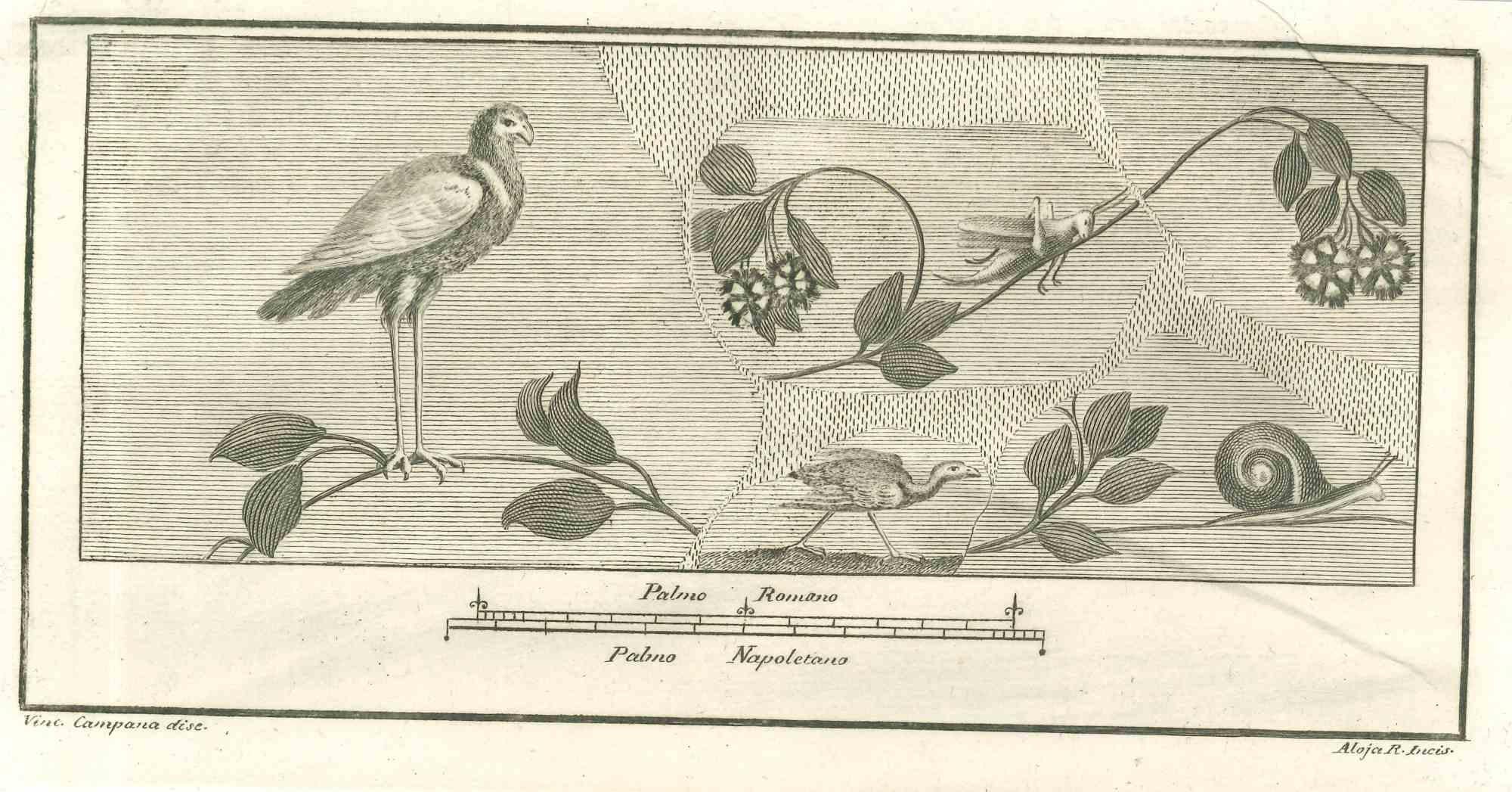 Birds Pompeian Fresco from "Antiquities of Herculaneum" is an etching on paper realized by Vincenzo Campana in the 18th Century.

Signed on the plate.

Good conditions with slight folding.

The etching belongs to the print suite “Antiquities of