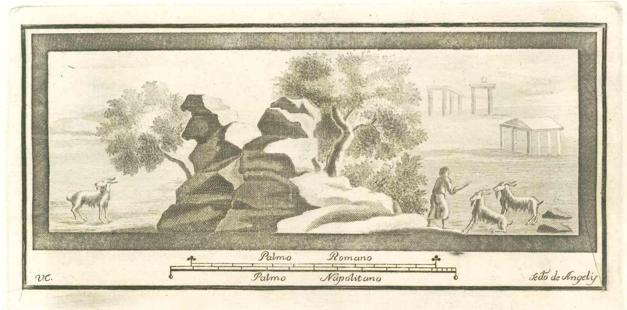 Fresco from "Antiquities of Herculaneum" is an etching on paper realized by Vincenzo Campana in the 18th Century.

Signed on the plate.

Good conditions.

The etching belongs to the print suite “Antiquities of Herculaneum Exposed” (original title: