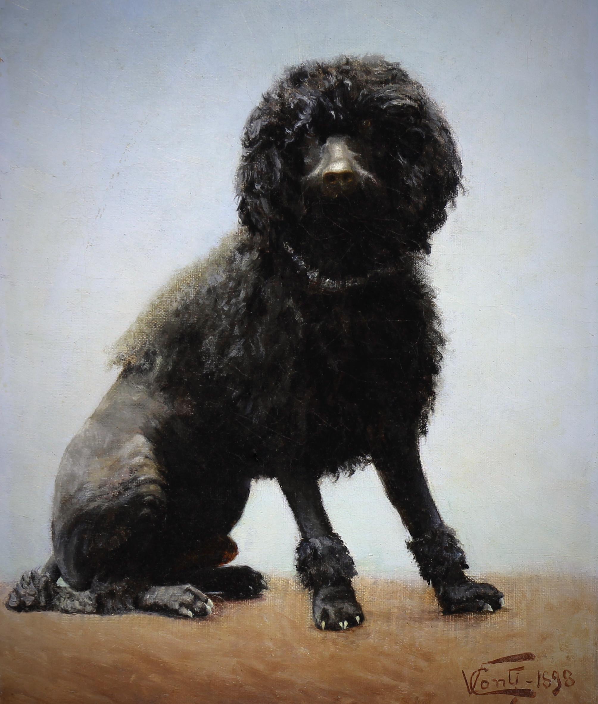 Peinture à l'huile sur toile portrait d'un chien caniche 19ème siècle - Painting de Vincenzo CONTI 