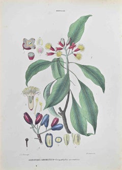 Antique Aromatic Clove - Lithograph by Vincenzo Tenore - 1870s