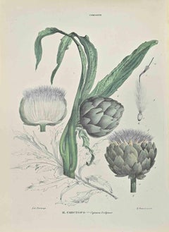 Alcachofa - Litografía de Vincenzo Tenore - Años 1870