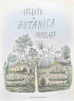 Atlas of Botany - Frontispiece- Lithograph by Vincenzo Tenore - 1870s