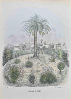Antique Botanical Garden - Lithograph by Vincenzo Tenore - 1870s