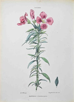 The Entree - Lithograph by Vincenzo Tenore - 1870s