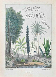 Titelblatt des Atlas der populären Botanik - Lithographie von Vincenzo Tenore - 1870er Jahre