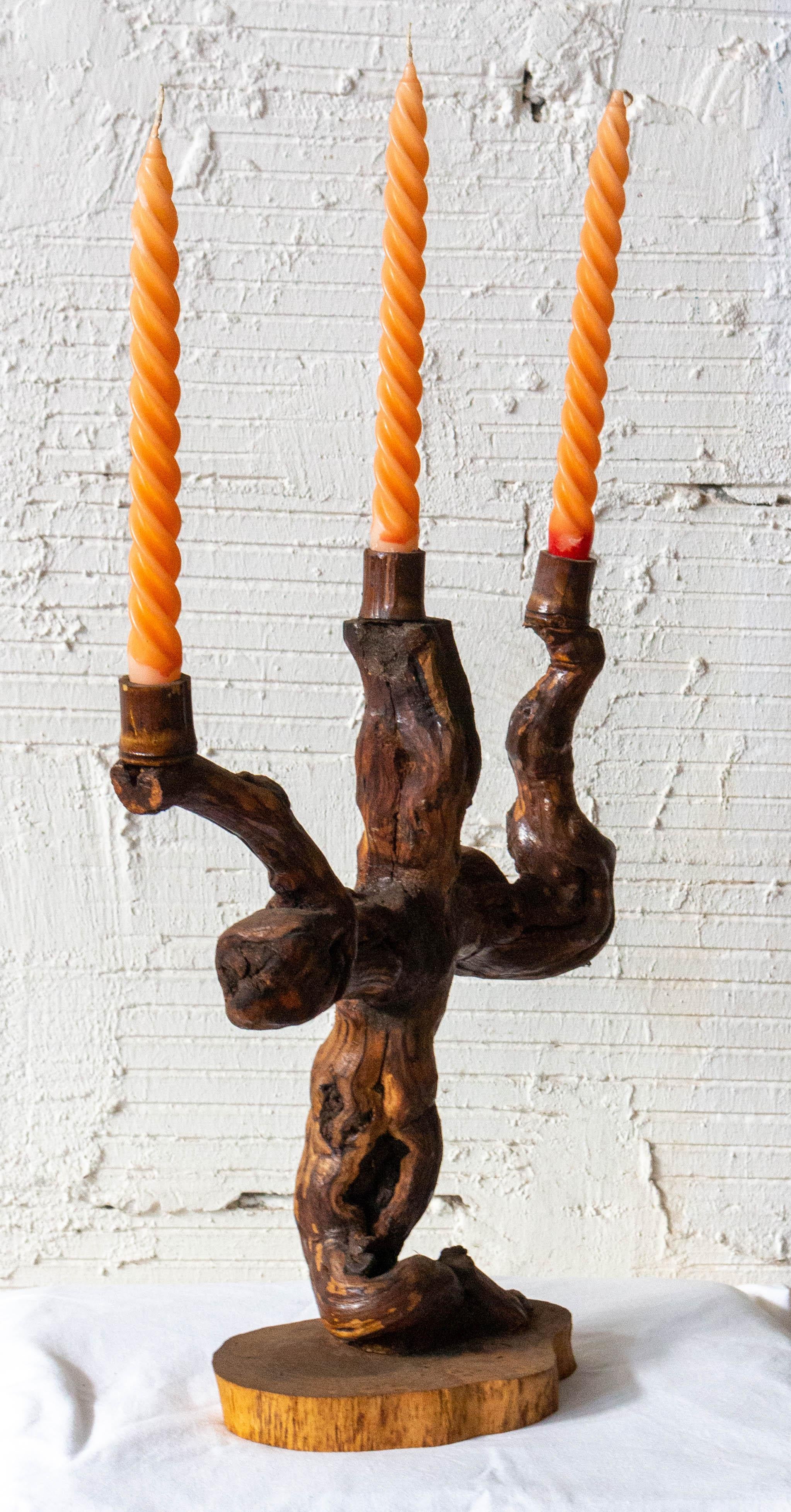 Kerzenhalter mit Weinrebenwurzel, Französisch Mitte des Jahrhunderts im Zustand „Gut“ im Angebot in Labrit, Landes