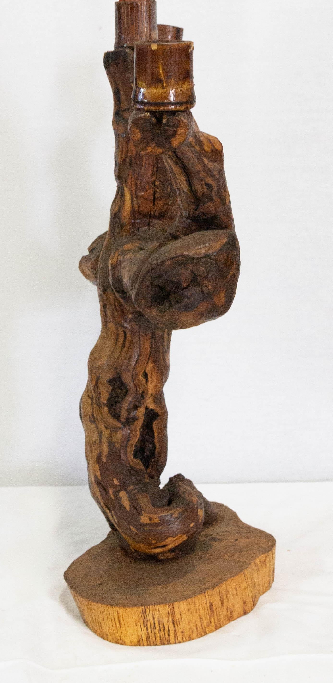 Vine Root Candleholder, French Mid-Century 1