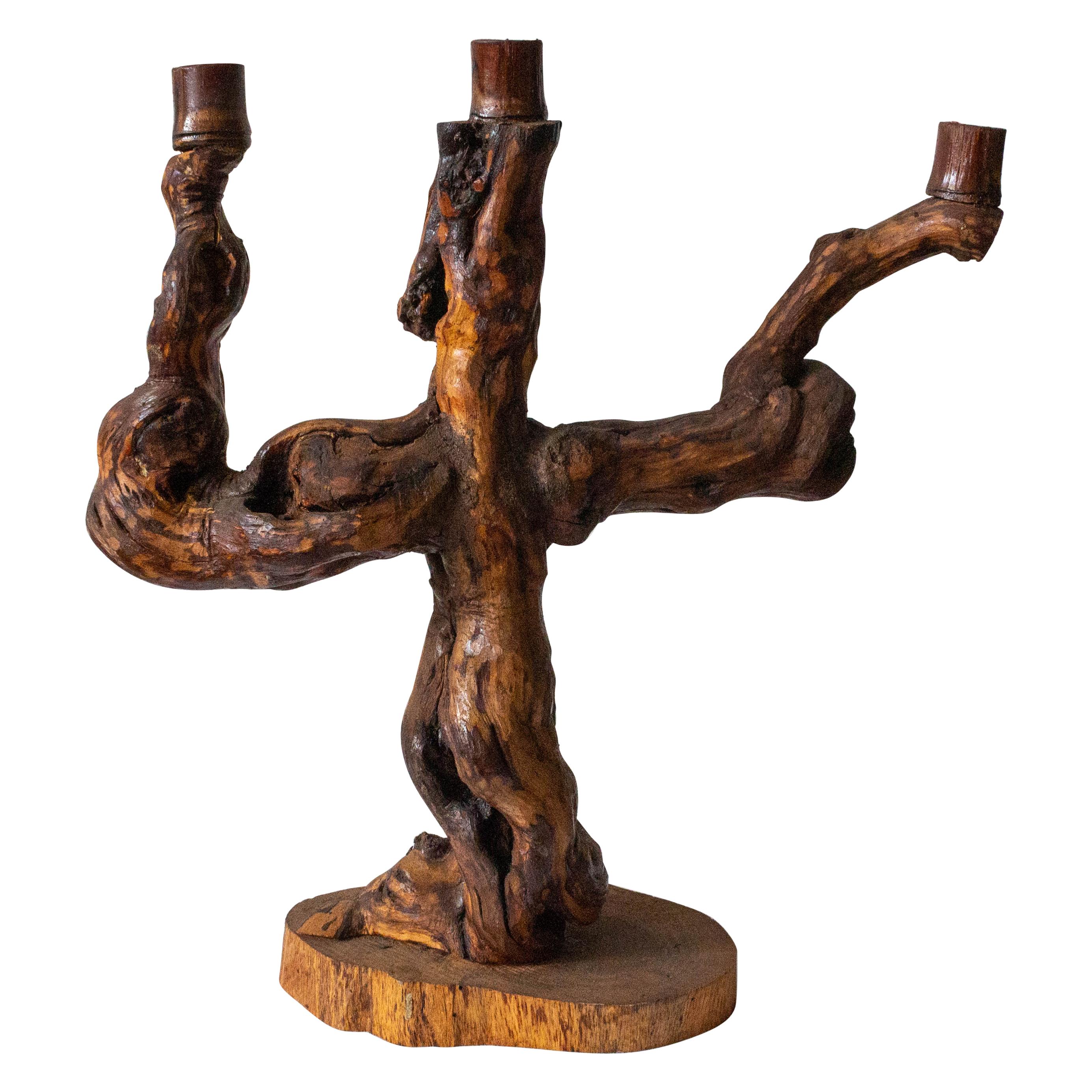 Vine Root Candleholder, French Mid-Century For Sale
