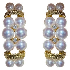 【Vine Symphony】Aurora Akoya Pearl & Diamond Garland Earrings