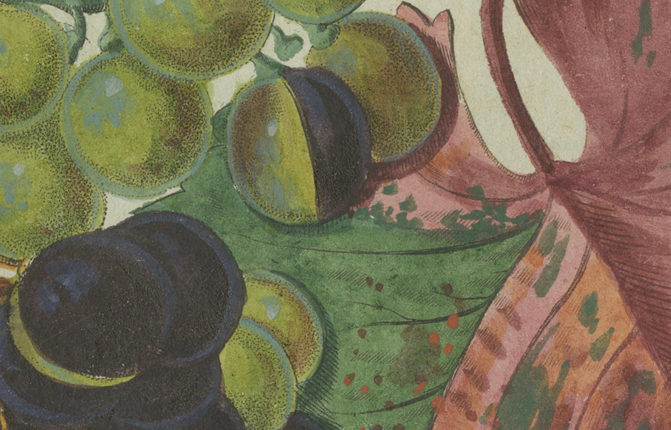 Early 19th Century Vineyard Treasures: Exquisite Hand-Colored 19th-Century Grapevine Engraving For Sale