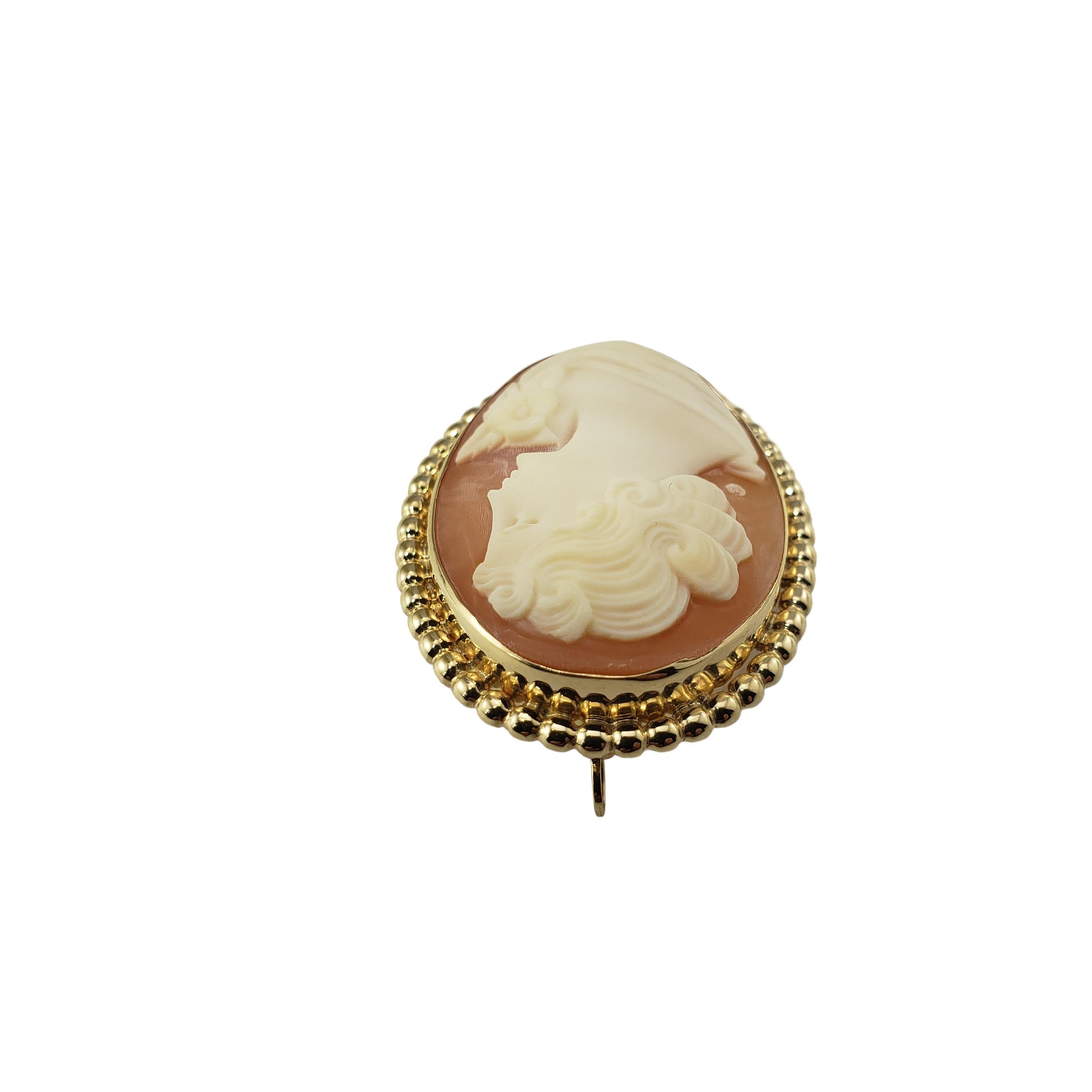 Women's 10 Karat Yellow Gold Cameo Brooch / Pendant For Sale