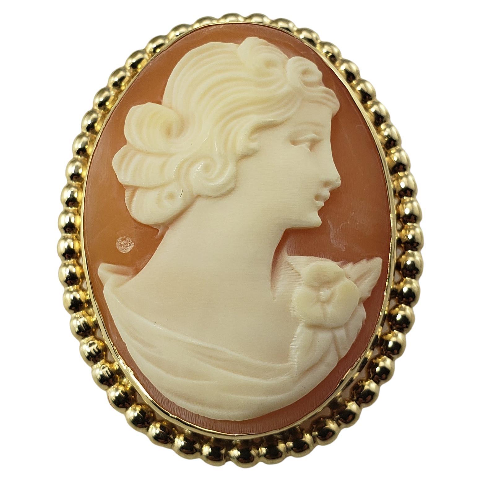 10 Karat Yellow Gold Cameo Brooch / Pendant For Sale