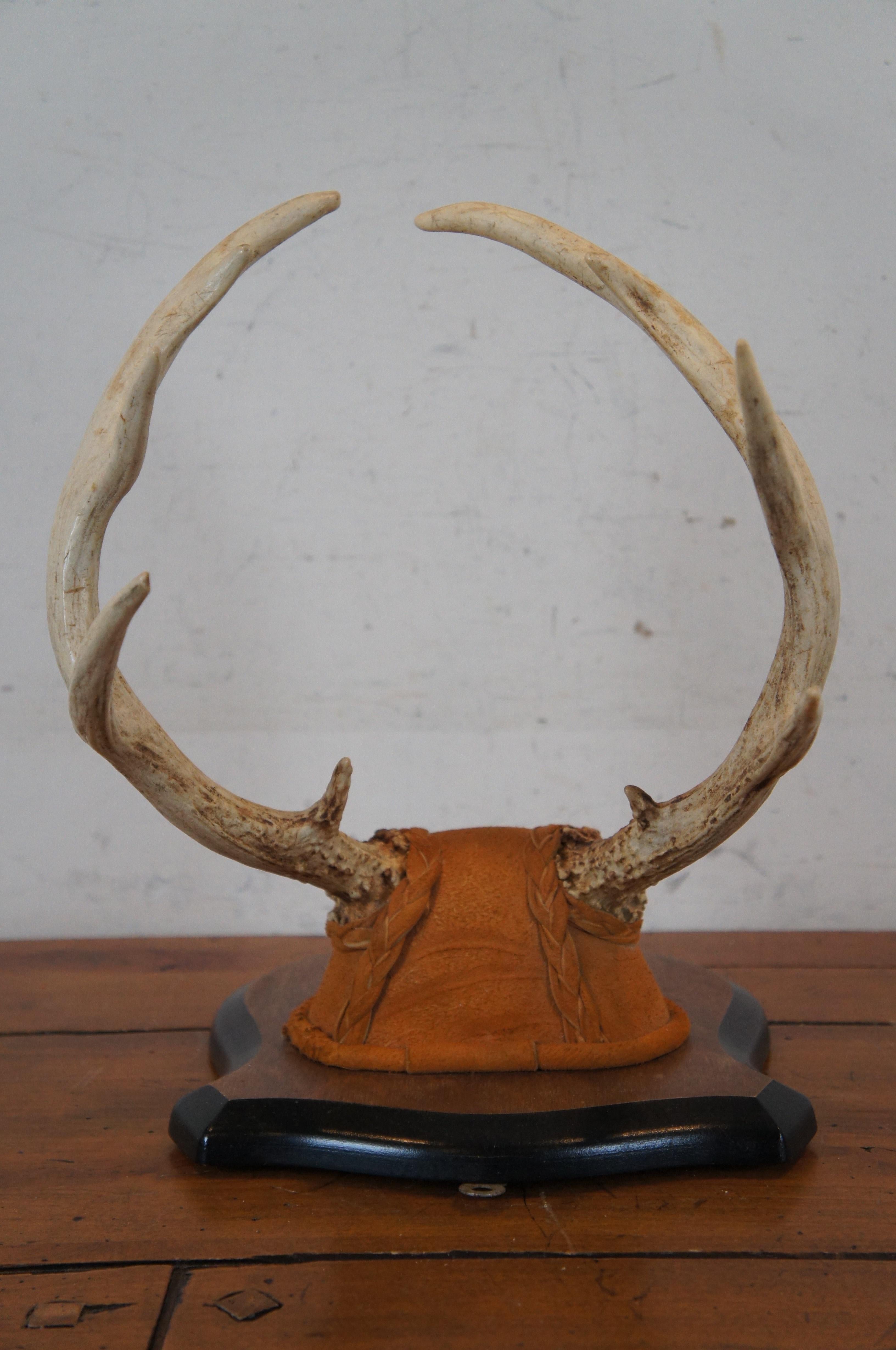 Vintage 10 Point Deer Antler Horn Suede Shield Plaque Taxidermy Mount 14