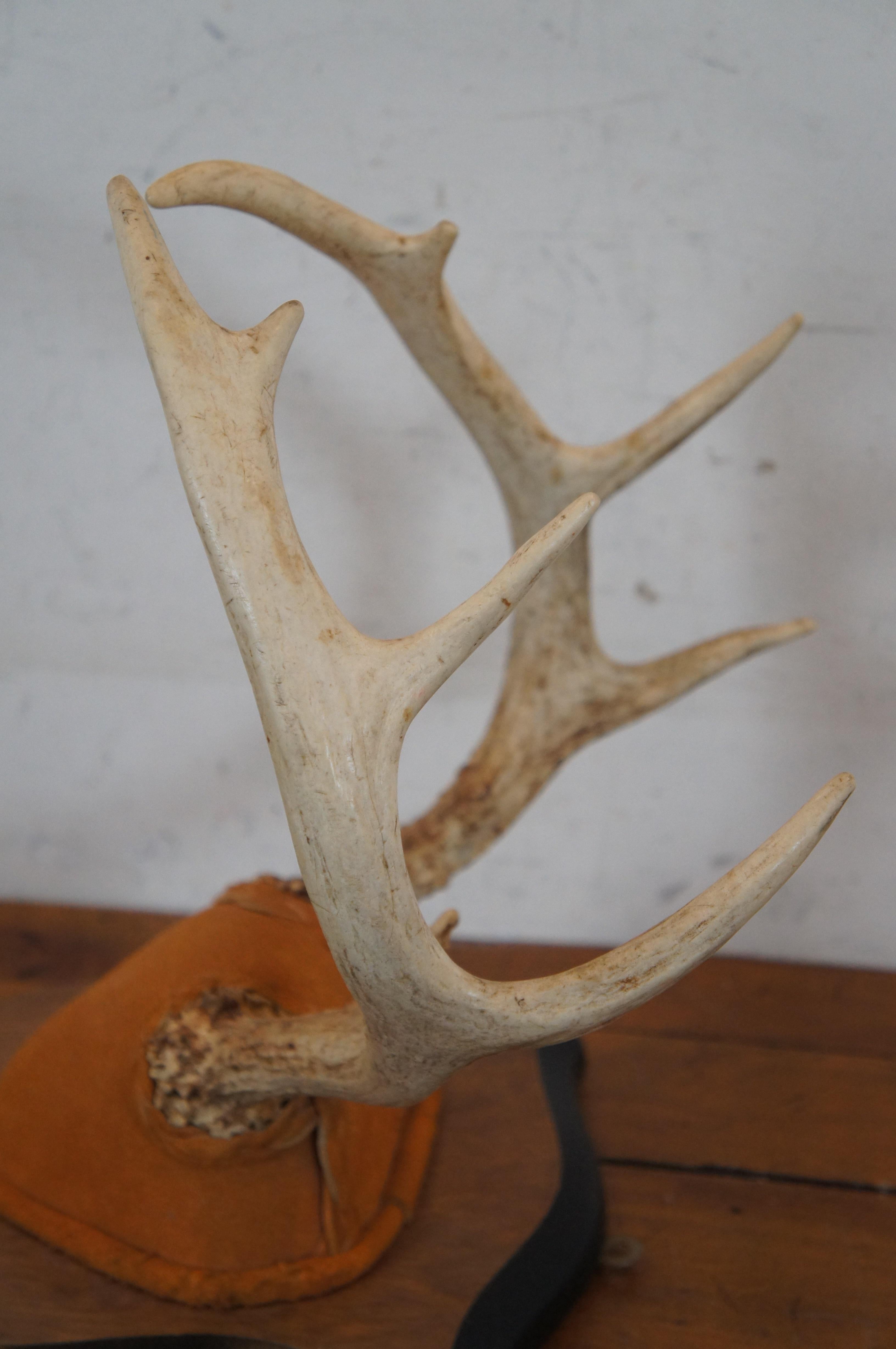 Rustic Vintage 10 Point Deer Antler Horn Suede Shield Plaque Taxidermy Mount 14