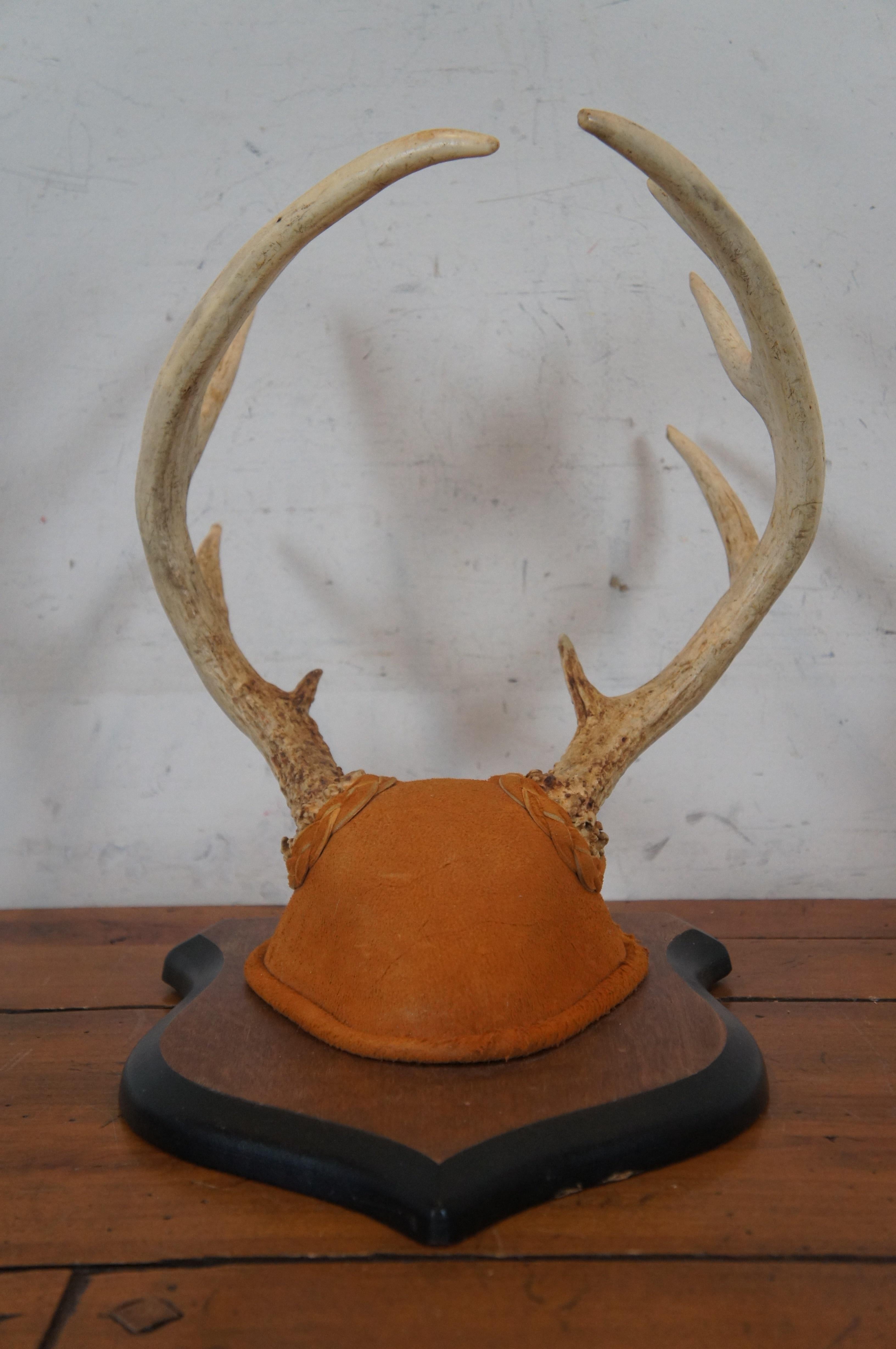 Vintage 10 Point Deer Antler Horn Suede Shield Plaque Taxidermy Mount 14
