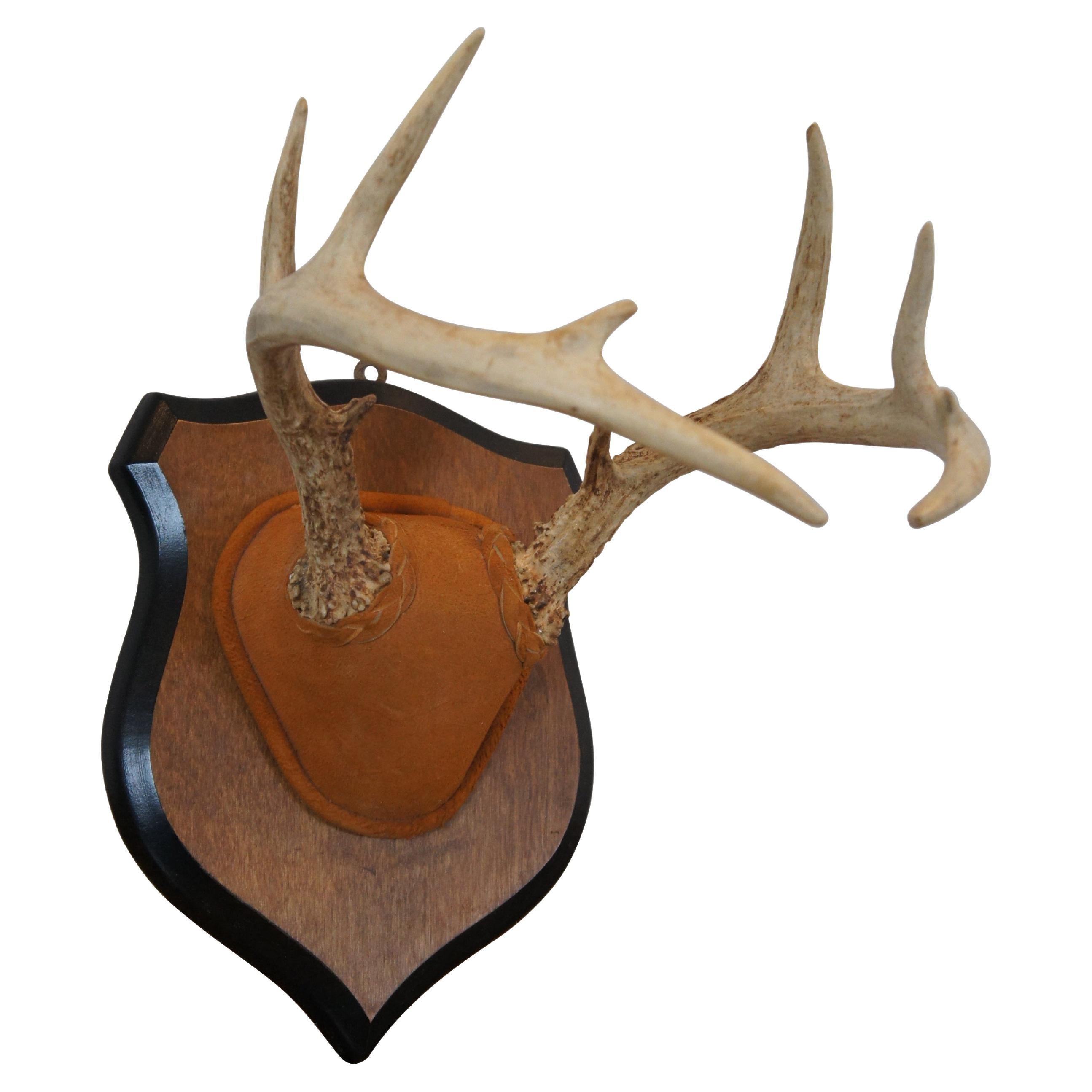 Vintage 10 Point Deer Antler Horn Suede Shield Plaque Taxidermy Mount 14"