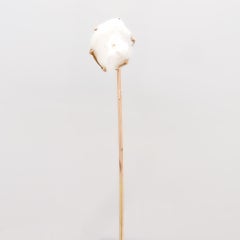 Vintage 10K Gold and Blister Pearl Stickpin