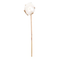 Vintage 10K Gold and Blister Pearl Stickpin