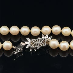 Vintage 10mm Pearl 14k White Gold Diamond Flower Spray Clasp Choker Necklace