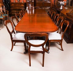 Vintage 13ft Regency Pillar Dining Table 20th C &16 Antique Chairs 19th Century