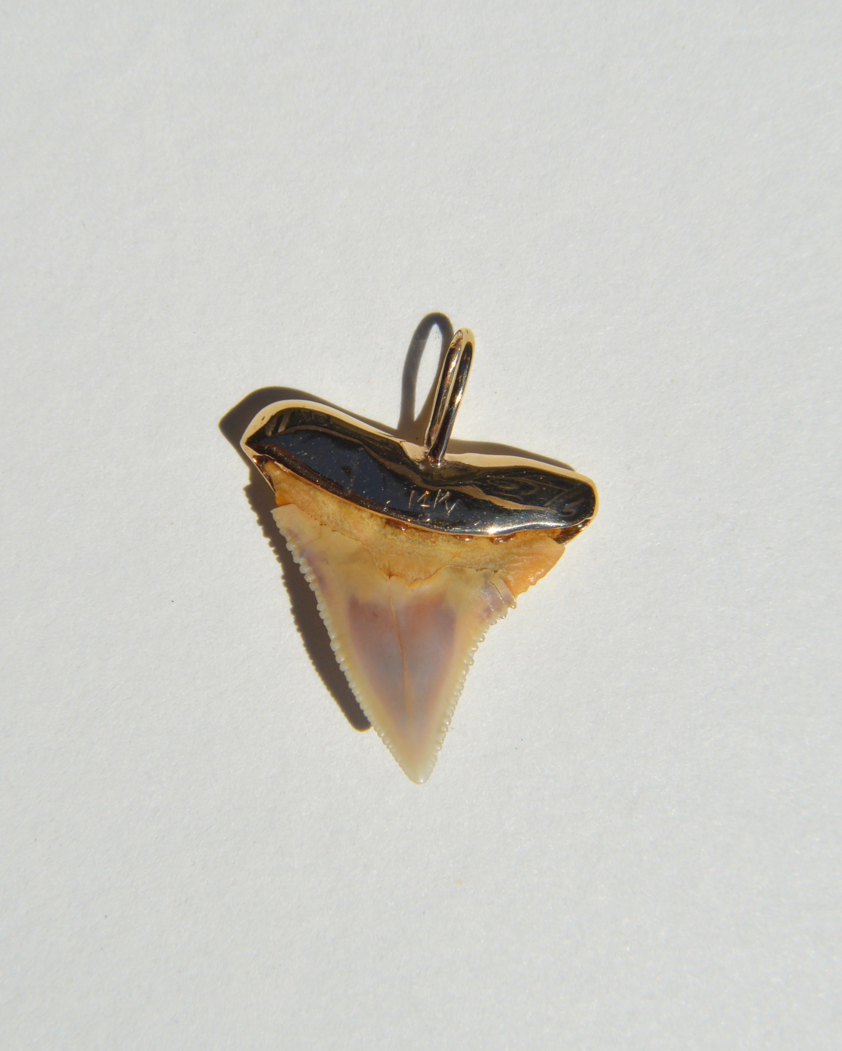 Gorgeous vintage 1980s 14K yellow gold shark tooth charm. Stamped as 14K gold. 1 1/8